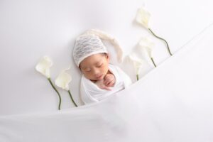 LINE_ALBUM_nobiHP使用予定写真_260206_34