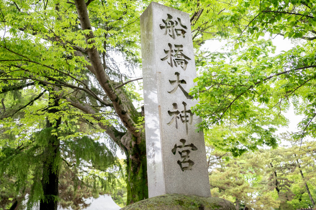 船橋大神宮で七五三|出張撮影の流れと当日の持ち物まとめ|studio NUFU