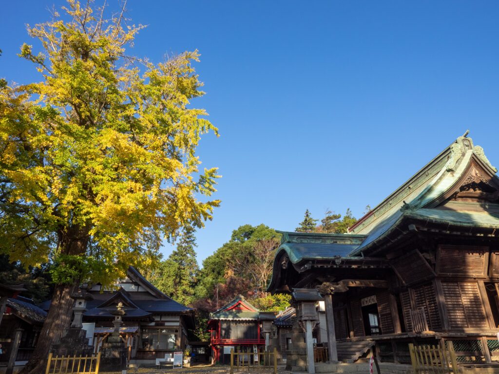 二宮神社で七五三｜出張撮影の流れと当日の持ち物まとめ【船橋市】